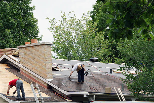 Best Green or Eco-Friendly Roofing Solutions  in USA